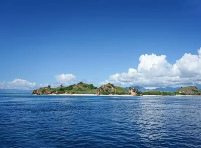 Komodo - Photo 5