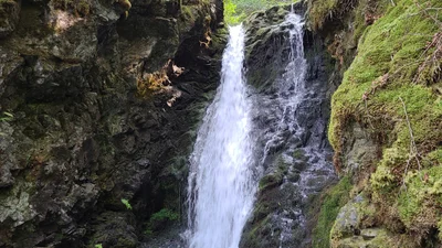 Albert County - Photo 4