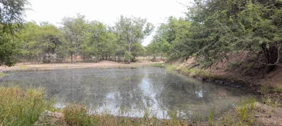Greater Tzaneen Local Municipality - Photo 3