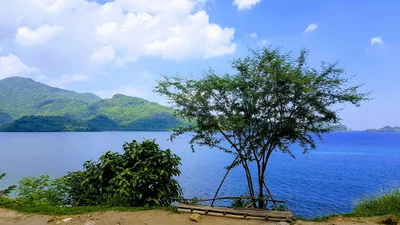 Ternate - Photo 5