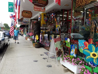 Mount Airy - Photo 3