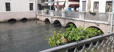 Treviso - Photo 2