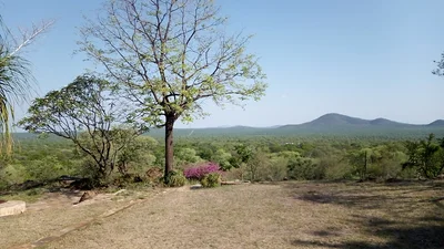 Ba-Phalaborwa Local Municipality - Photo 2