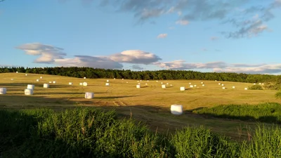 Nemuro - Photo 2