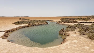 Dakhla - Photo 3