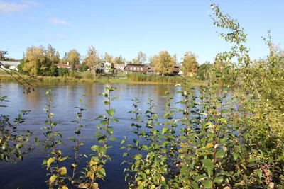 Fairbanks - Photo 2