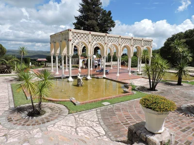 Los Cocos - Photo 2