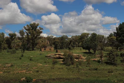 Dihlabeng Local Municipality - Photo 2