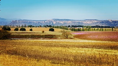 Dihlabeng Local Municipality - Photo 4