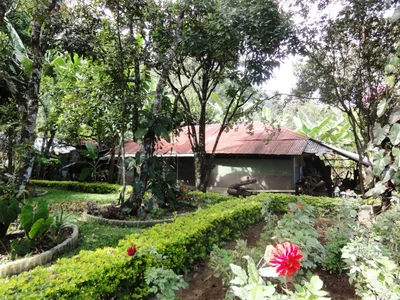 Haputhale - Photo 2