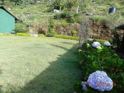 Haputhale - Photo 3