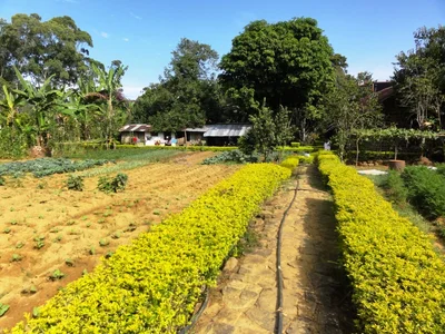 Haputhale - Photo 4