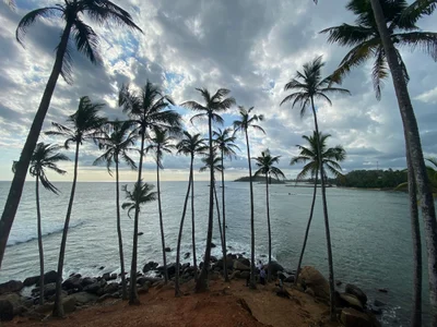 Mirissa - Photo 3