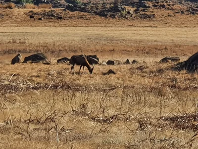 Emakhazeni Local Municipality - Photo 3