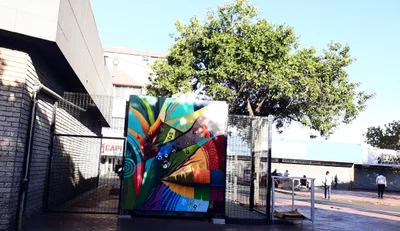 Bellville - Photo 5