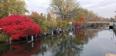 Traverse City - Photo 3