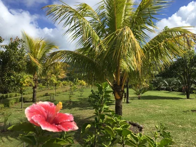 Chamarel - Photo 3