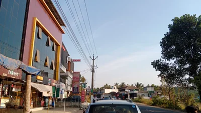 Panamaram - Photo 4