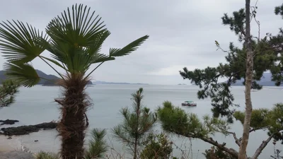 Goheung-gun - Photo 5