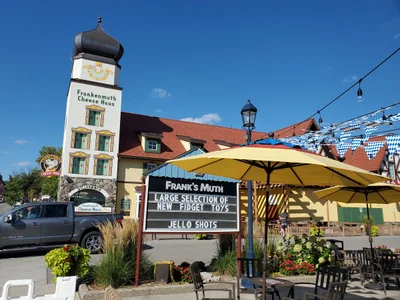 City of Frankenmuth - Photo 2