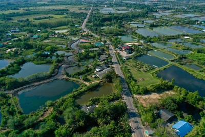 Klaeng - Photo 2