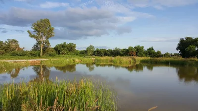 Klaeng - Photo 3