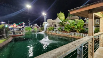 Pigeon Forge - Photo 4