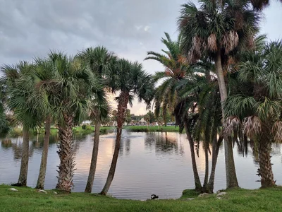 New Port Richey - Photo 2