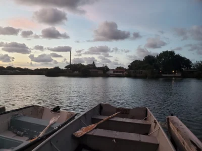 New Port Richey - Photo 4