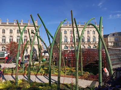 Nancy - Photo 2