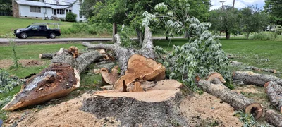 Maryville - Photo 3