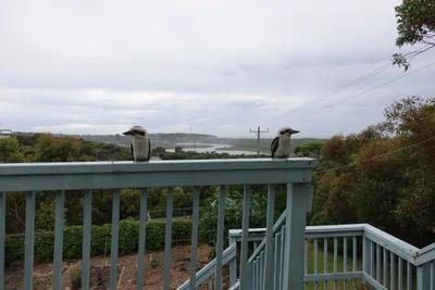 Fairhaven - Photo 2