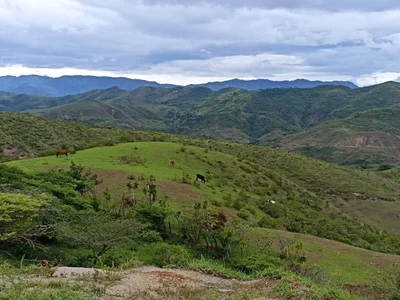 Hacienda Trigopamba - Photo 2