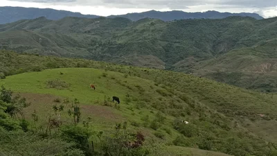 Hacienda Trigopamba - Photo 3