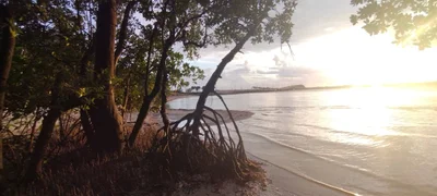 Jensen Beach - Photo 3