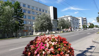 Khabarovsk - Photo 3