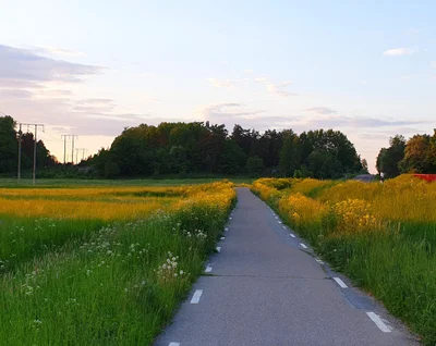 Uppsala - Photo 3