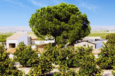 San Miguel de Salinas - Photo 2