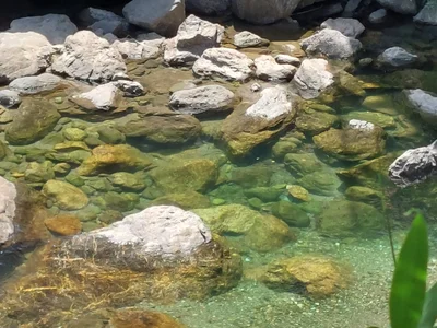 Agawa-gun - Photo 2