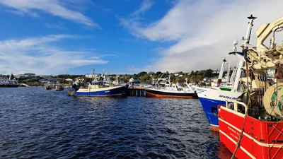 Donegal - Photo 3
