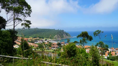 Ribeseya - Photo 3