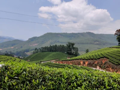 Idukki District - Photo 2