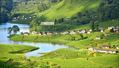 Idukki District - Photo 4