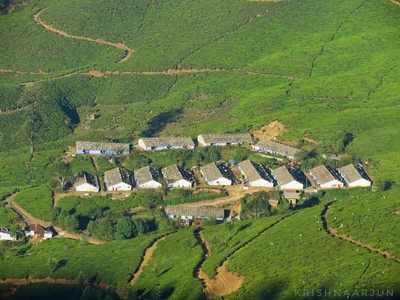 Idukki District - Photo 5