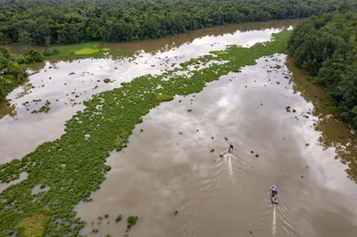 Orinoco Delta - Photo 4