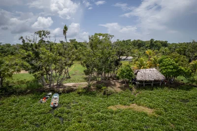 Orinoco Delta - Photo 5