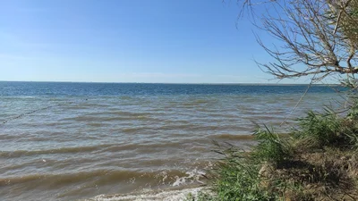 Yarovoye - Photo 4