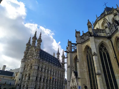 Leuven - Photo 2