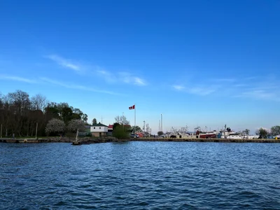 Port Dover - Photo 4