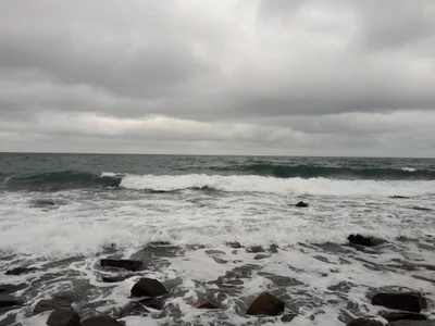 Anapa - Photo 2